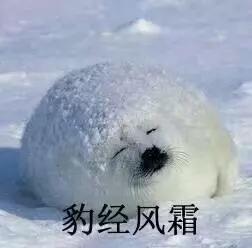 湖南双赢财务管理咨询有限公司,财务外包,一站式财税管理,上市前财务辅导,税务咨询,代理记账 湖南双赢财务管理咨询有限公司,财务外包,一站式财税管理,上市前财务辅导,税务咨询,代理记账