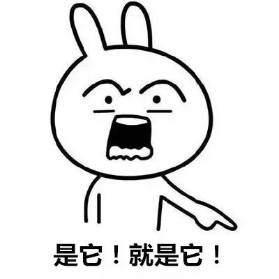 个税|社保|小微企业税收|一般纳税人|小规模纳税人|税法